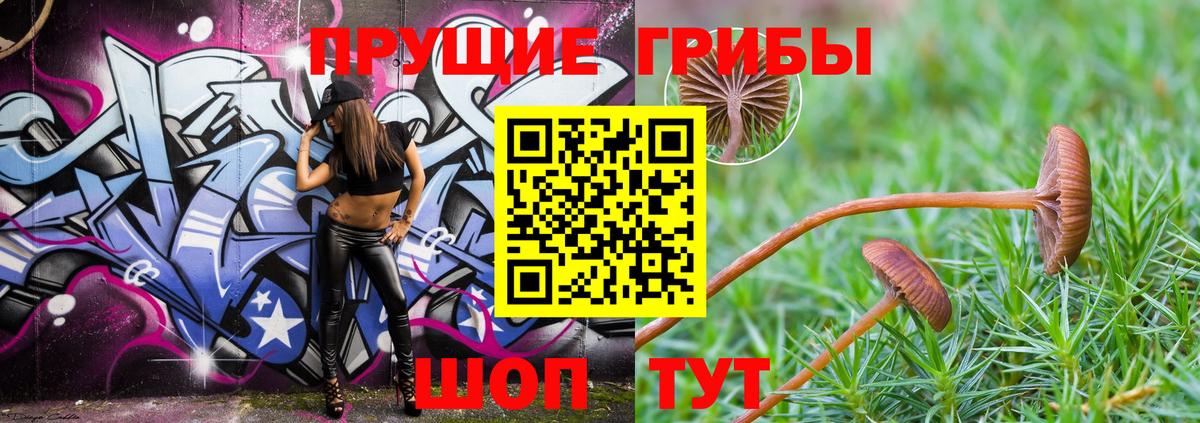 Ессентуки  Псилоцибиновые грибы Psilocybe  Галлюциногенные грибы MAGIC MUSHROOMS  Вход с VPN 